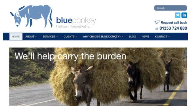 Bluedonkey telemarketing services