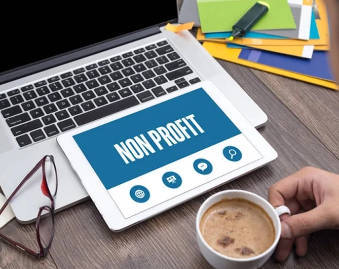 Non-Profit Organizations