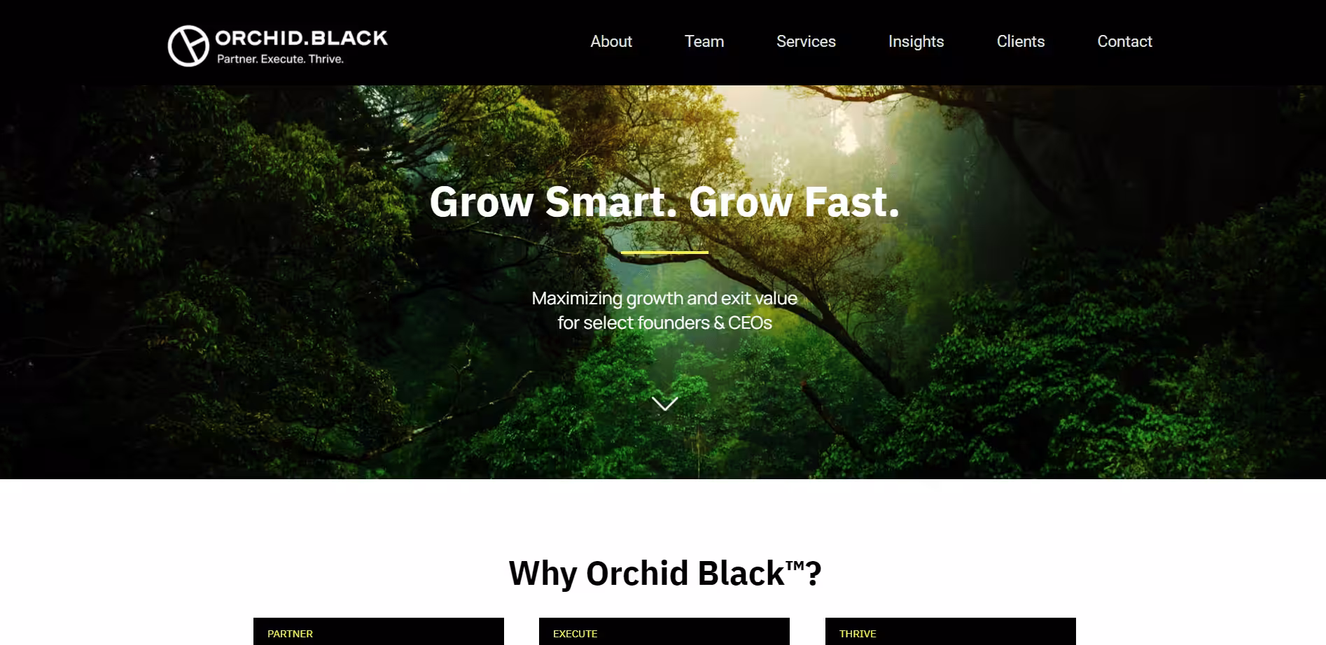 Orchid Black