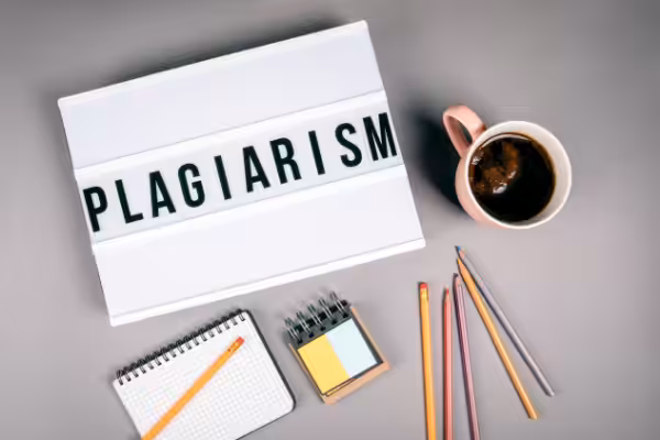 plagiarism checkers