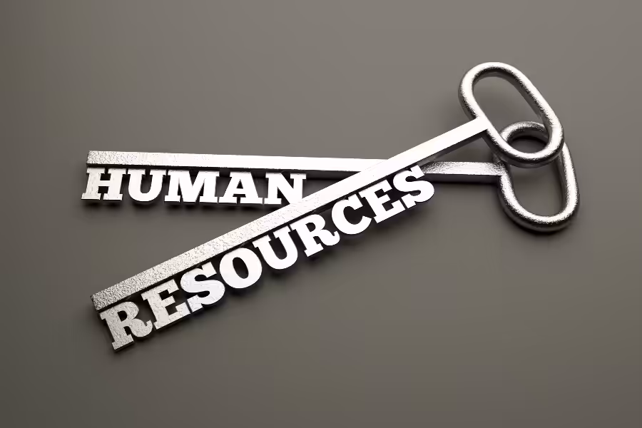 Why HR Software Matters: The Different Stages of Business