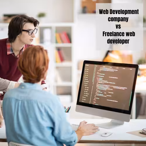Web Development company vs Freelance web developer !!