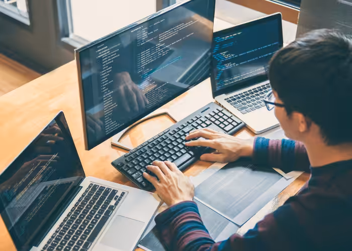 web development buddy