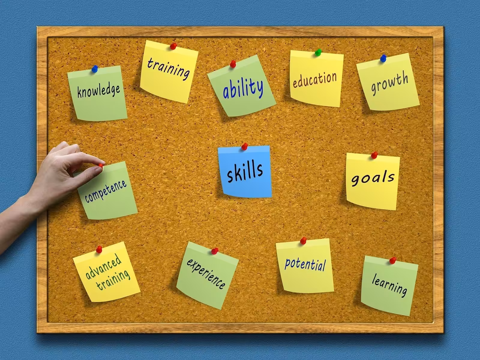 The Pros and Cons of the Top Content Management Systems