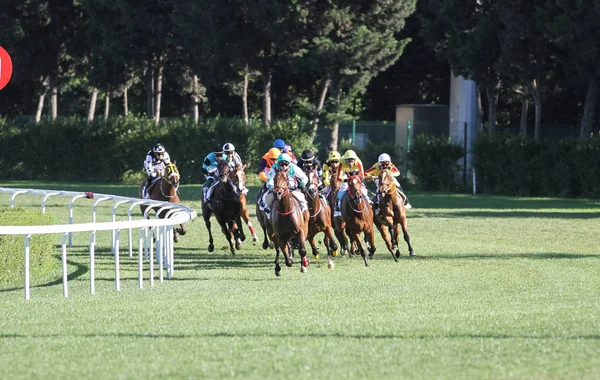 How Sponsorship in Horse Racing Events Drives Brand Visibility