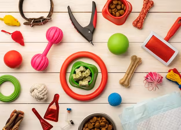 Various colorful pet accessories still life concept